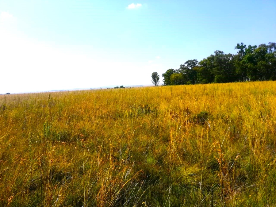 Commercial Property for Sale in Bloemfontein Rural Free State